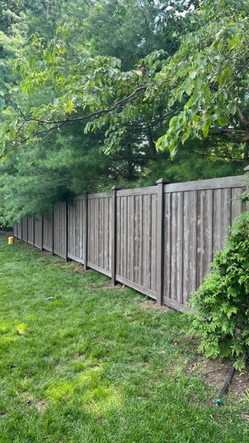 Wooden fence in a backyard with green grass and trees.