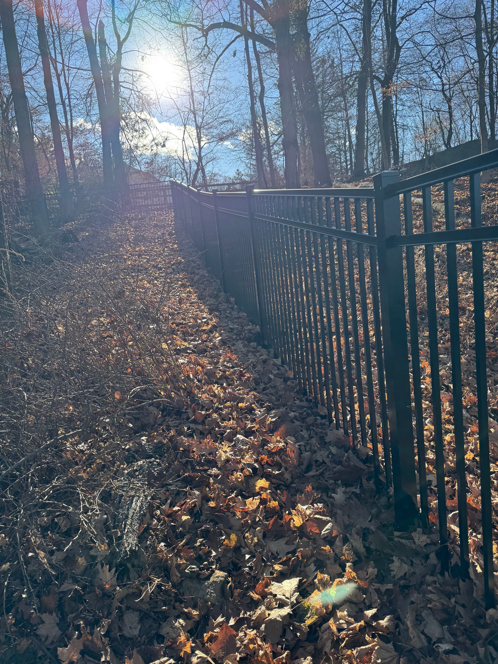 Sunlit fence along a leaf-covered hillside in a wooded area.