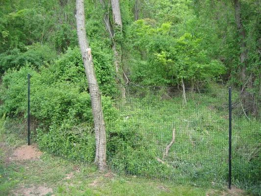 Two black fence posts in a grassy area, trees and bushes in the background.
