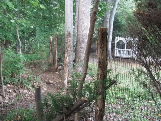 A weathered wooden fence with trees, greenery, and a white gazebo in the background.