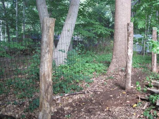 Fence made of netting and wooden posts among trees in a wooded area.