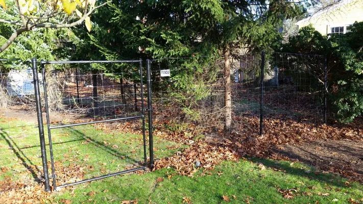 Black metal gate in a yard with a wire fence, trees, and scattered fallen leaves.