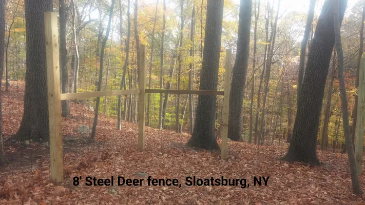 An unfinished wooden deer fence in a forest, Sloatsburg, NY.