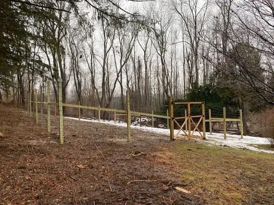 Wooden fence with gate in a wooded area with bare trees and a patch of snow.