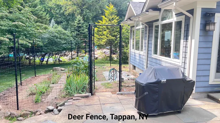 Black deer fence in Tappan, NY, separates patio with grill from backyard with trees.
