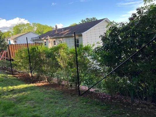 Green bushes and black poles stand in front of a house, beside a wooden fence.