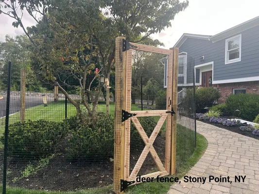Wooden gate with black hinges in a deer fence near a house.