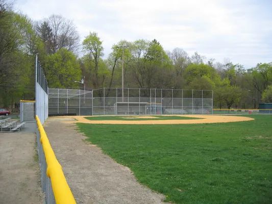 Baseball field with green grass, yellow foul pole, and trees in the background.