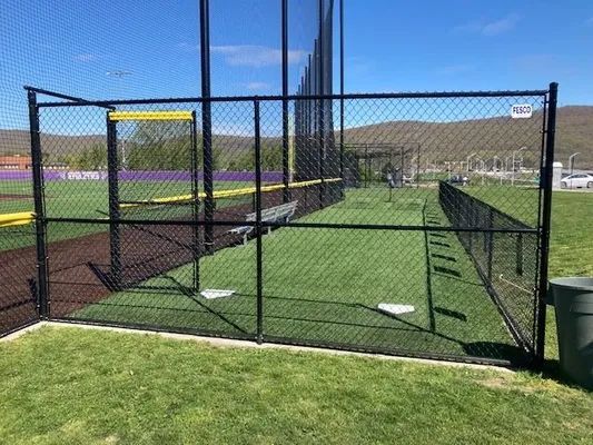 Baseball batting cage with chain-link fencing on a field. Green turf, purple and yellow accents, mountain backdrop.
