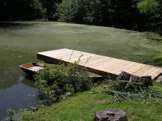 A wooden dock extends over a murky pond. A small boat rests at the dock's edge, surrounded by green foliage.