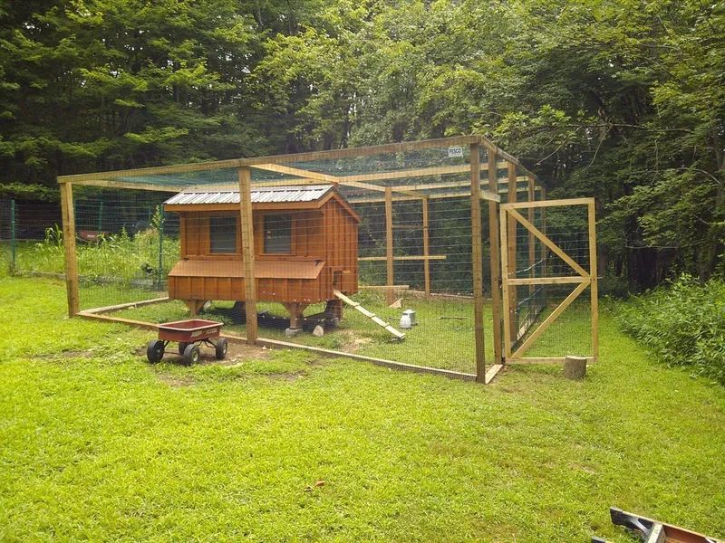 Chicken coop and run in a grassy yard, surrounded by trees. Includes a small red wagon.