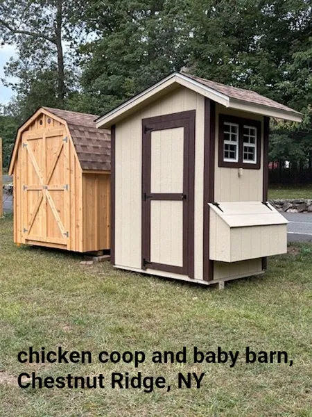 Chicken coop and small barn, Chestnut Ridge, NY. Beige and brown wood structures on grass.