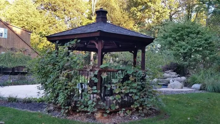 Gazebo with dark roof, surrounded by green foliage, in a yard with trees and stone steps.
