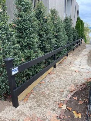 Black fence bordering a stone pathway lined with evergreen bushes, with a building in the background.