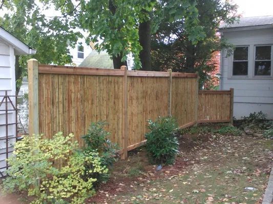 Wooden privacy fence in a backyard setting with bushes and trees.