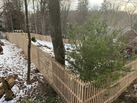 Wooden picket fence surrounds a yard with a tree and green bush. Snow is on the ground.