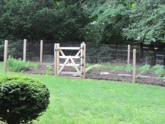 Wooden gate in a wire fence, leading to a garden with green plants and trees in the background.