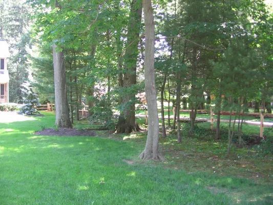 Grassy backyard with trees and a wooden fence; a house is visible on the left.