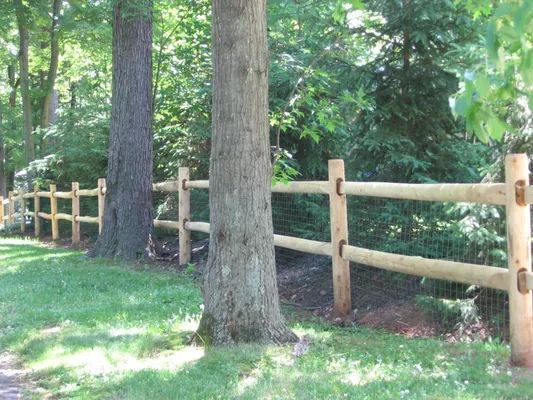 Wooden split-rail fence with wire mesh between trees in a grassy yard.