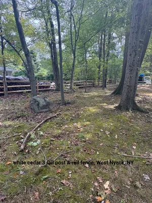 White cedar rail fence in wooded area, West Nyack, NY.