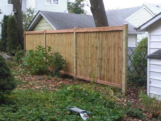Wooden fence with bamboo-like texture in a backyard, partially obscuring a tree and small building.