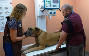 cumberland-animal-hospita-staff