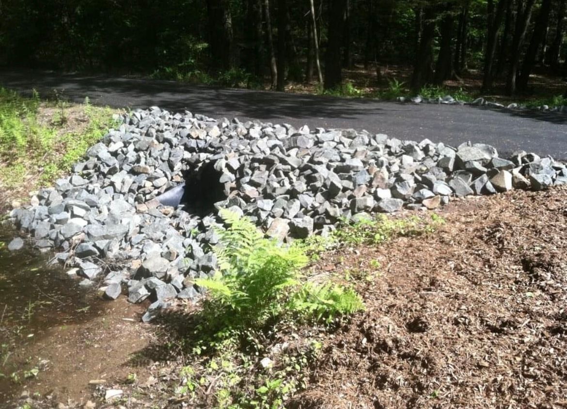 A drainage culvert surrounded by grey riprap stones next to an asphalt road and a fern in a wooded area.