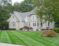 house_lawn