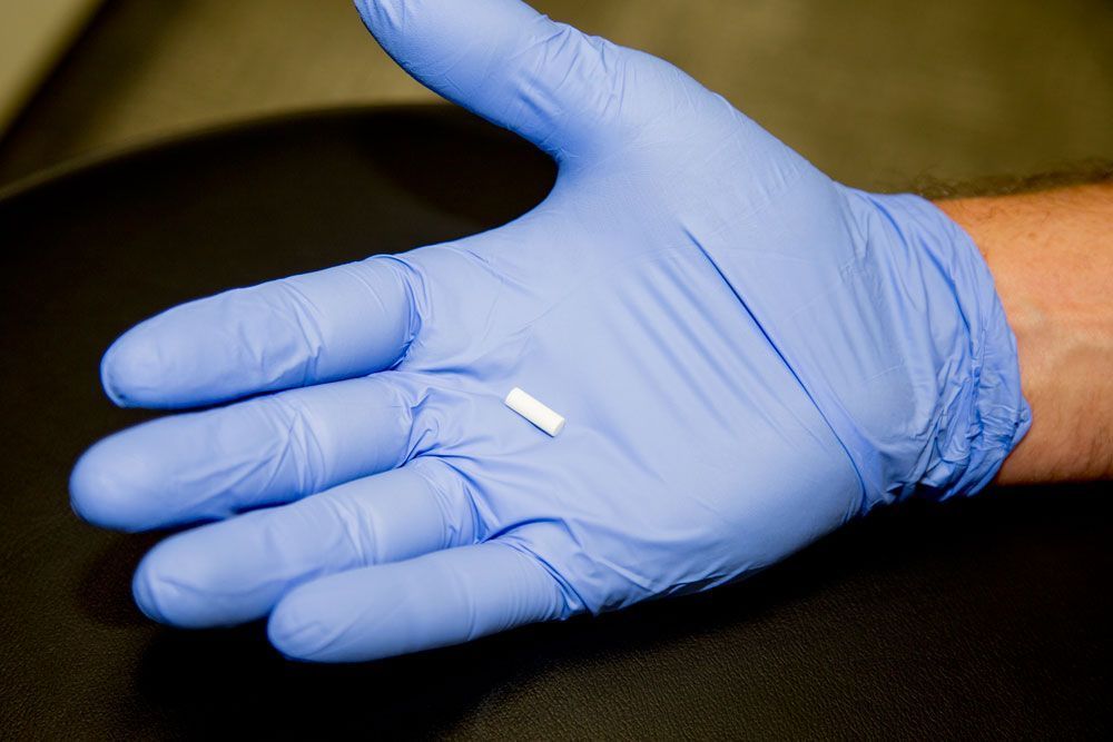 A person wearing a blue latex glove holds a small, white, cylindrical object in the center of their palm.