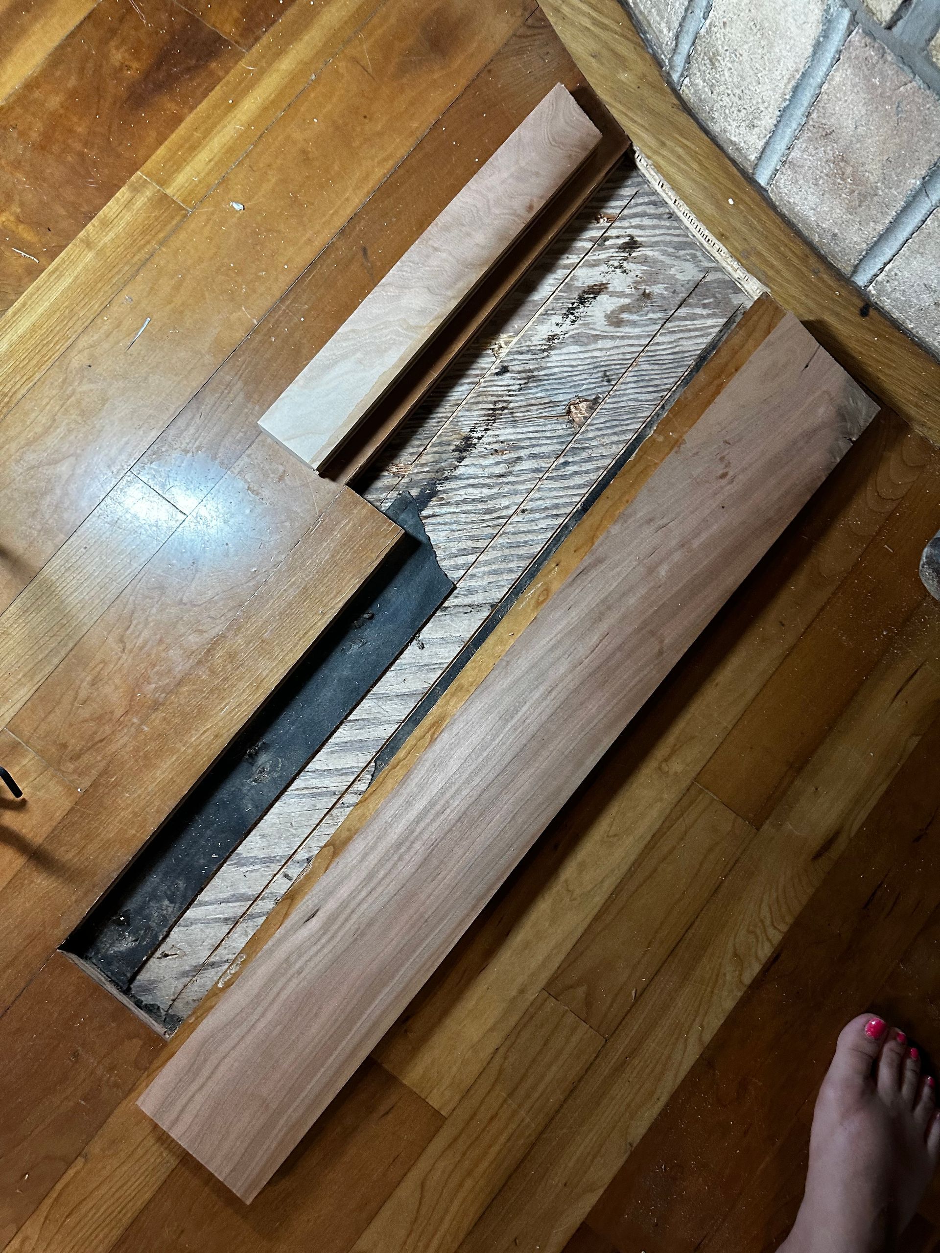 A piece of wood is laying on a wooden floor next to a person 's foot.