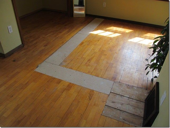 A room with hardwood floors and a plant in the corner