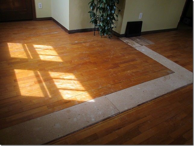 A wooden floor with a tile border and a plant in the background