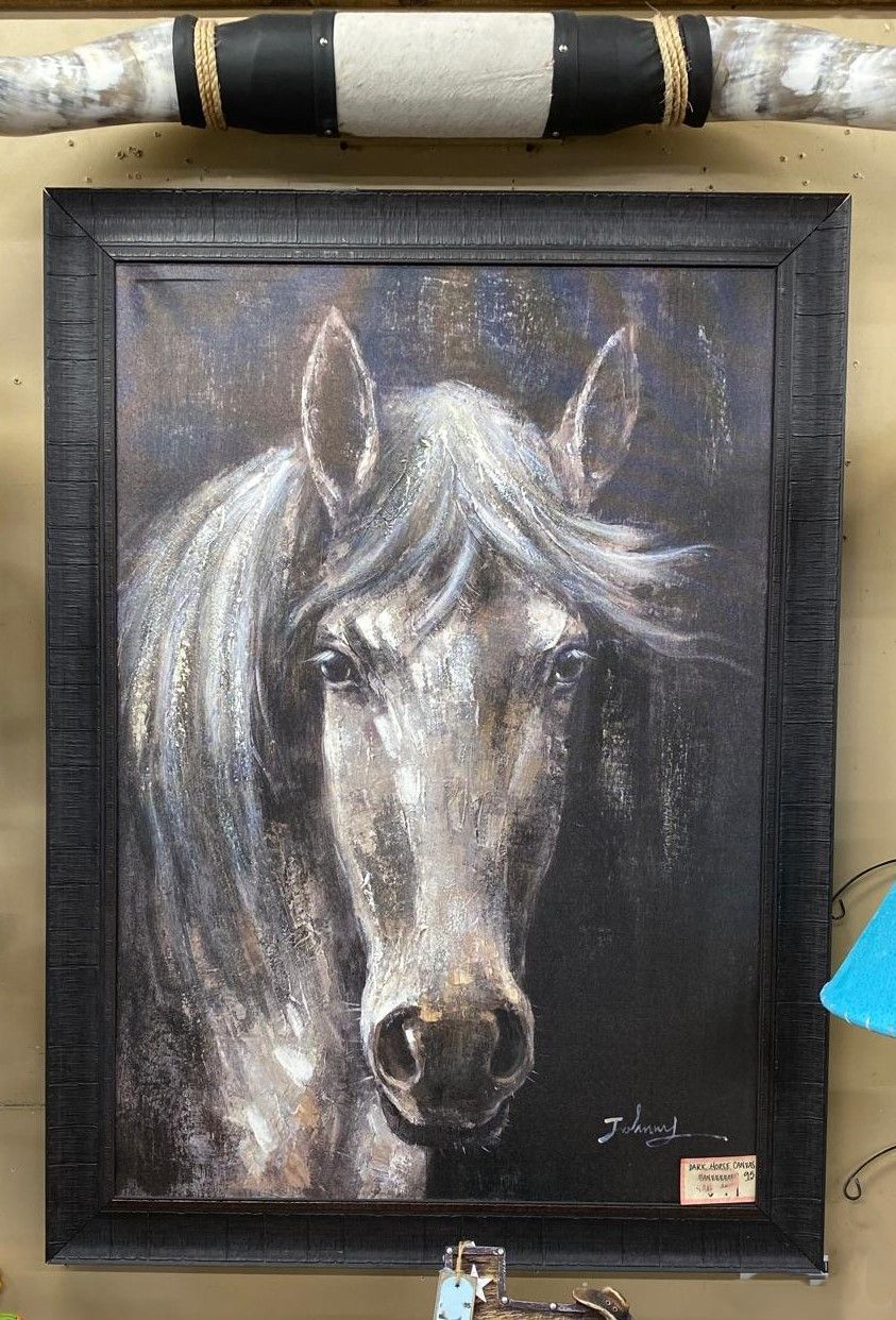 Portrait of a gray horse in a dark frame. The horse has a long mane and is looking forward.