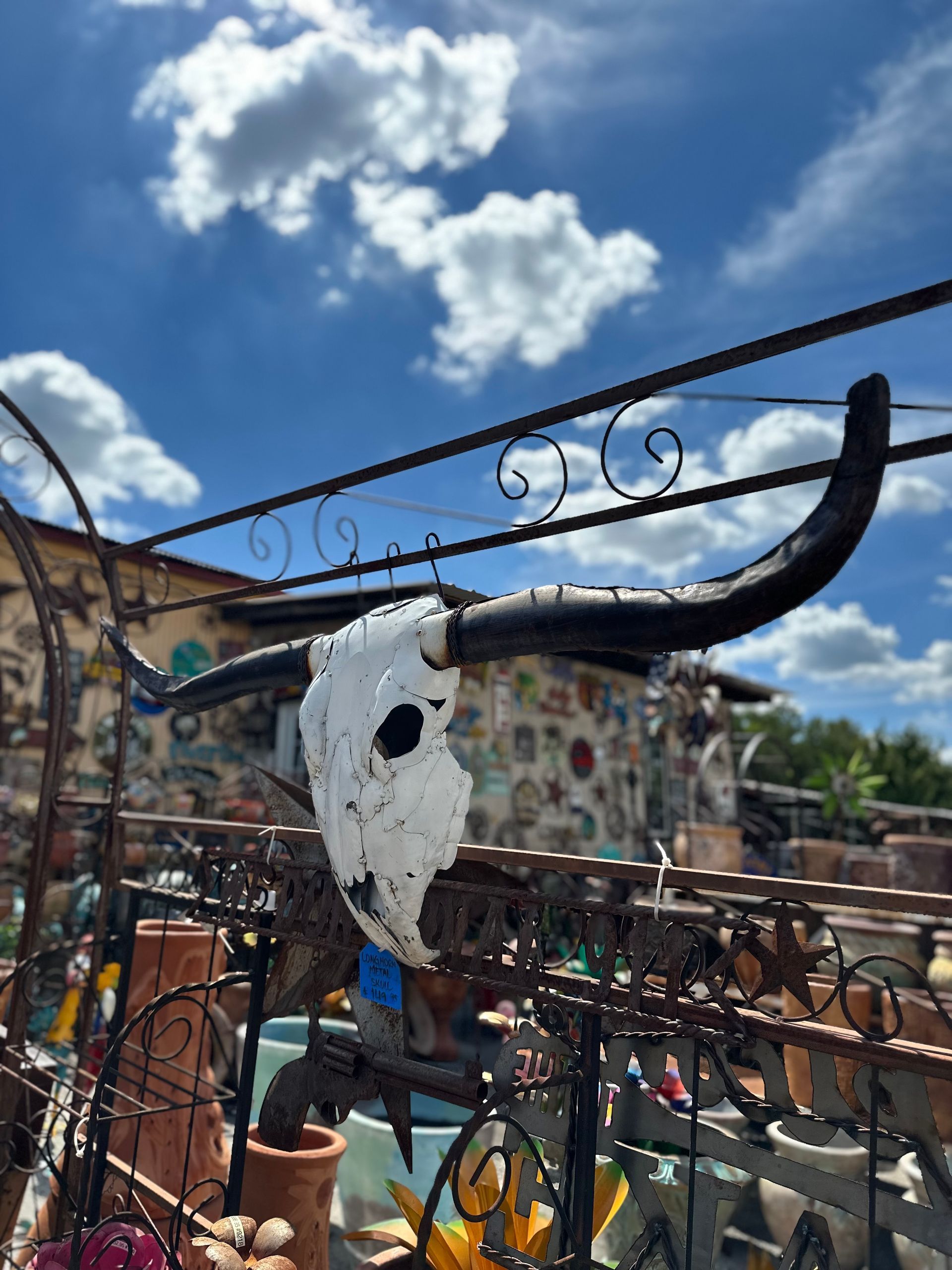 White cow skull decoration with dark horns hanging against a blue sky with fluffy clouds.