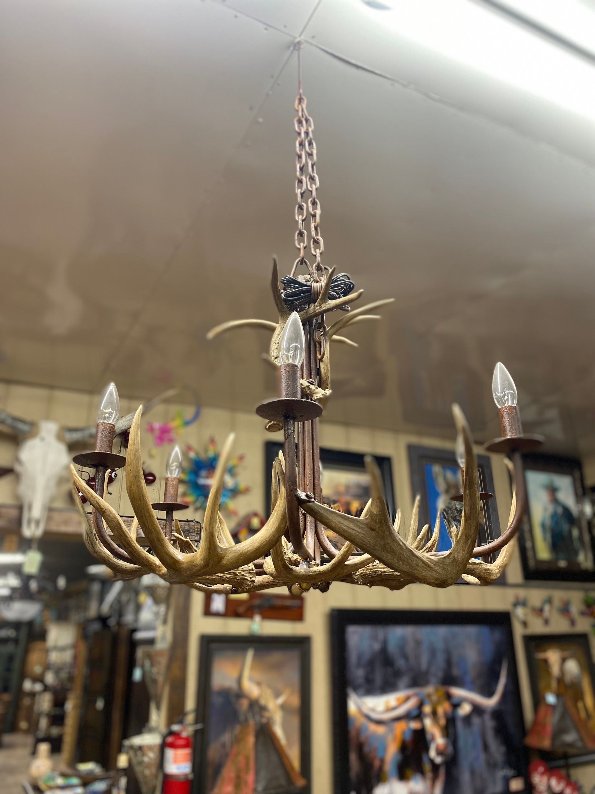 Antler chandelier hanging from ceiling, in a shop with artwork on the wall.