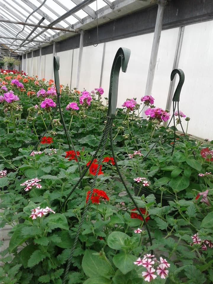 Flower nursery