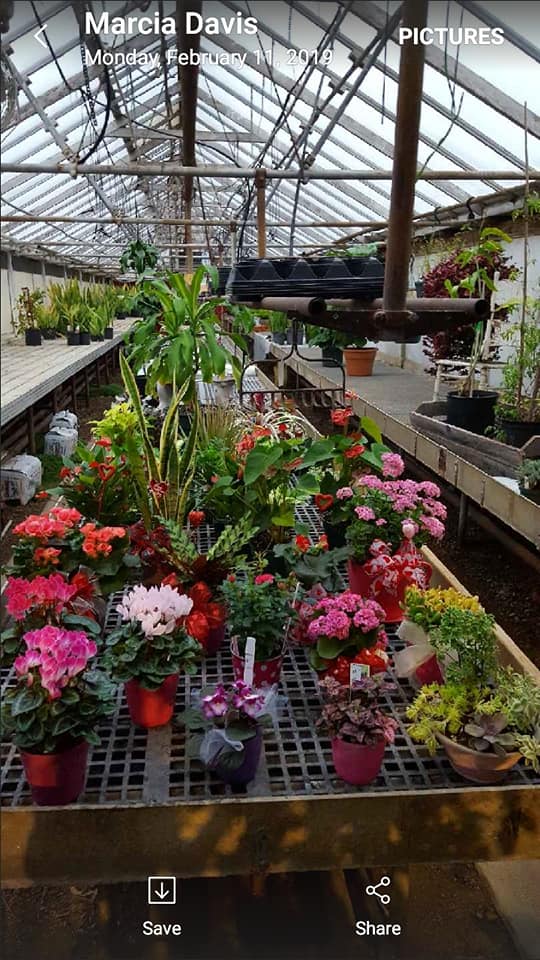 Flower nursery