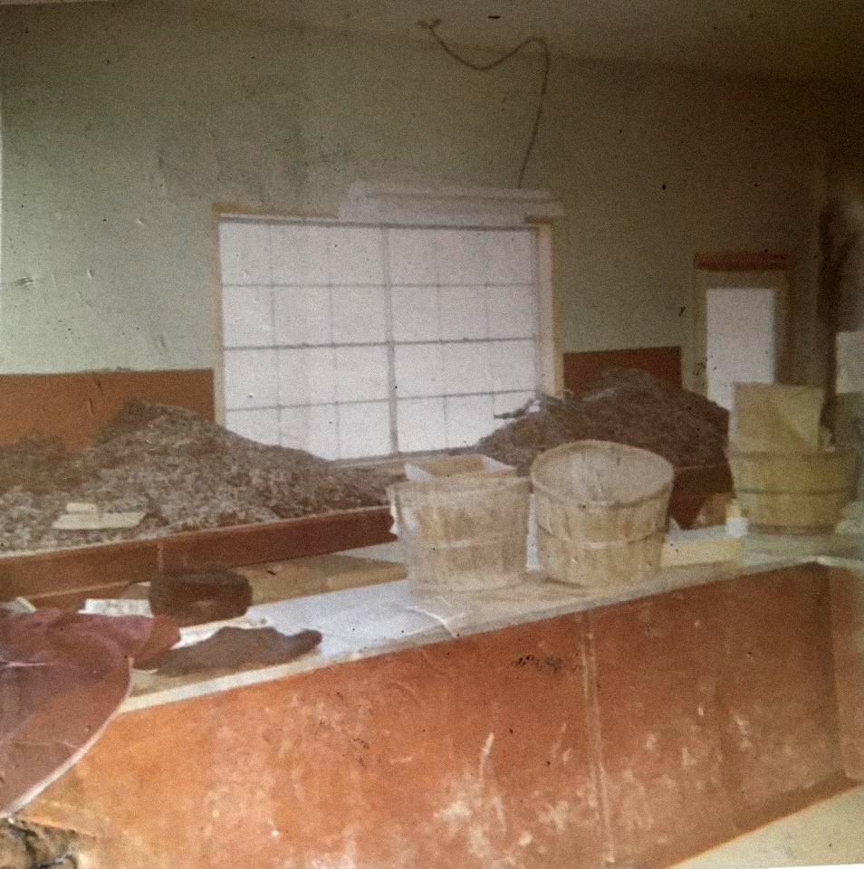 Old photos of Pleasant View Nursery