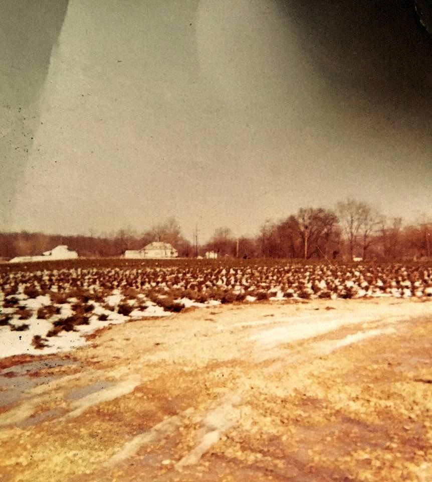 Old photos of Pleasant View Nursery