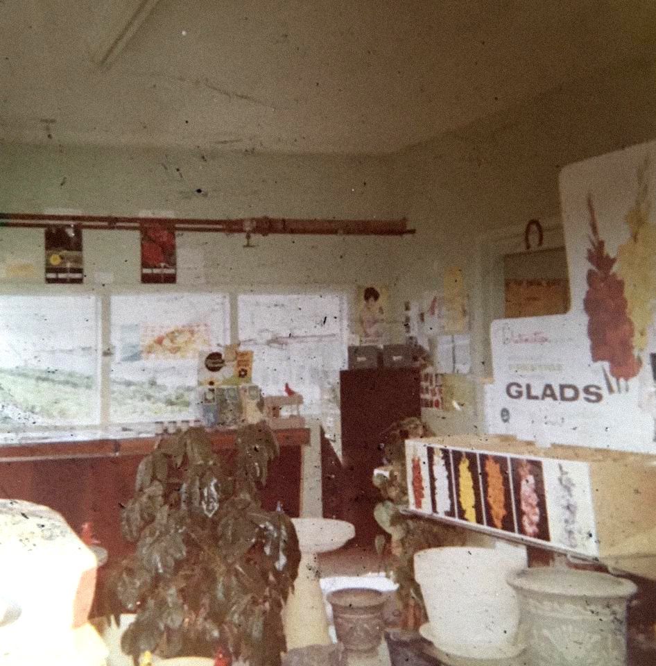 Old photos of Pleasant View Nursery