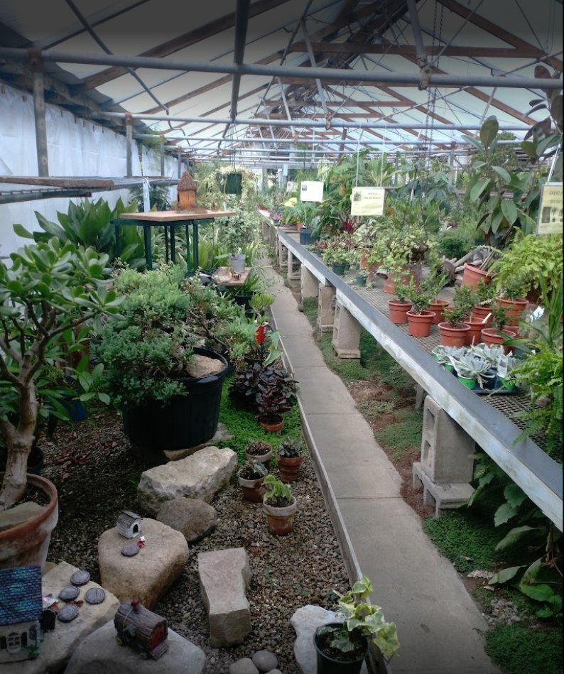 Plant nursery