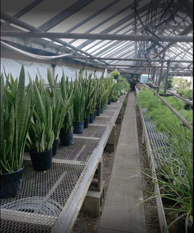 Plant nursery