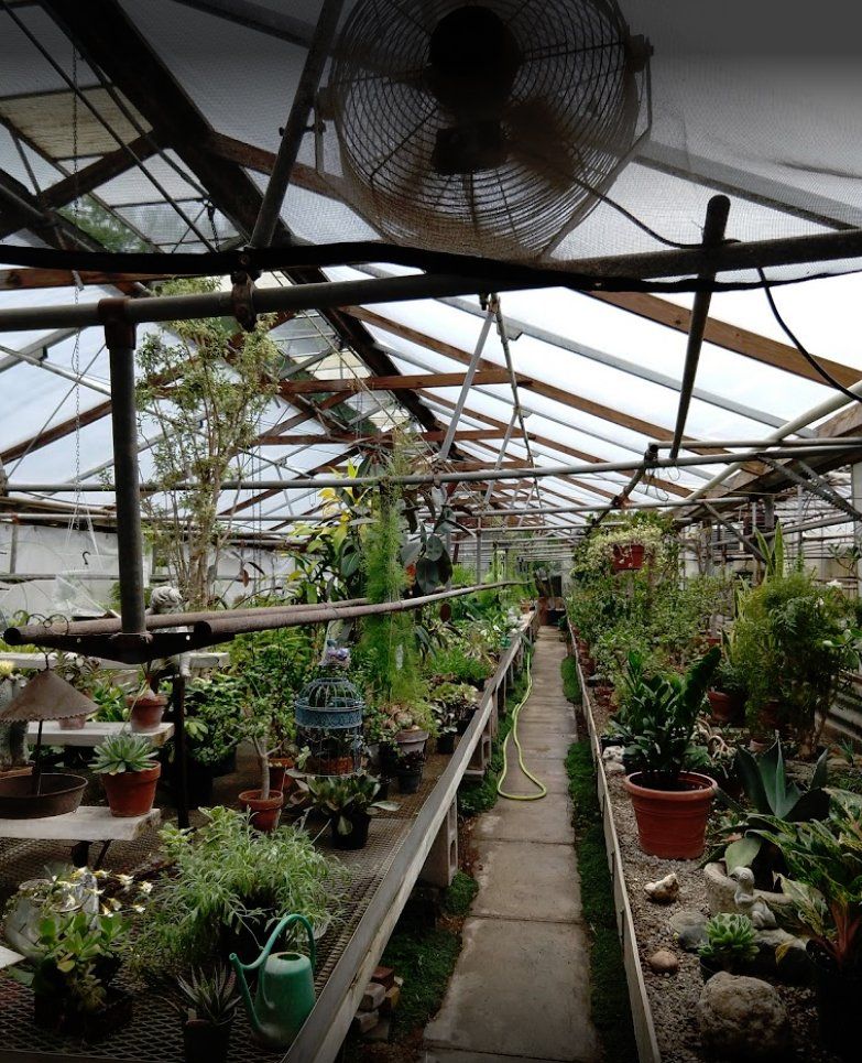 Plant nursery