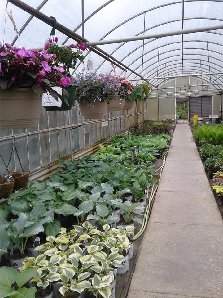 Plant nursery