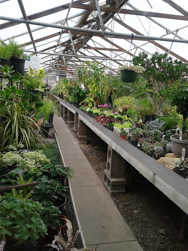 Flower nursery