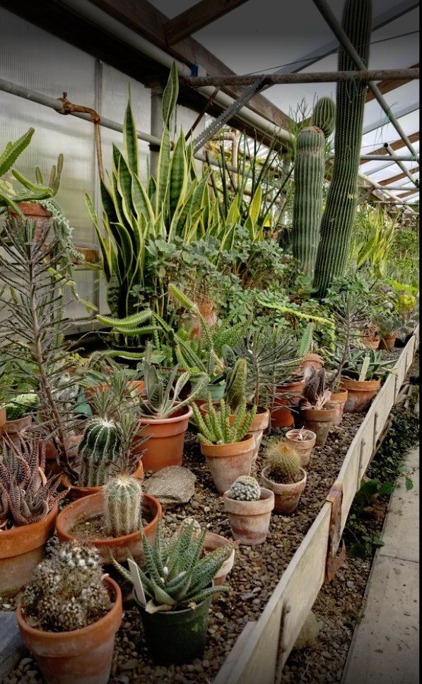 Plant nursery