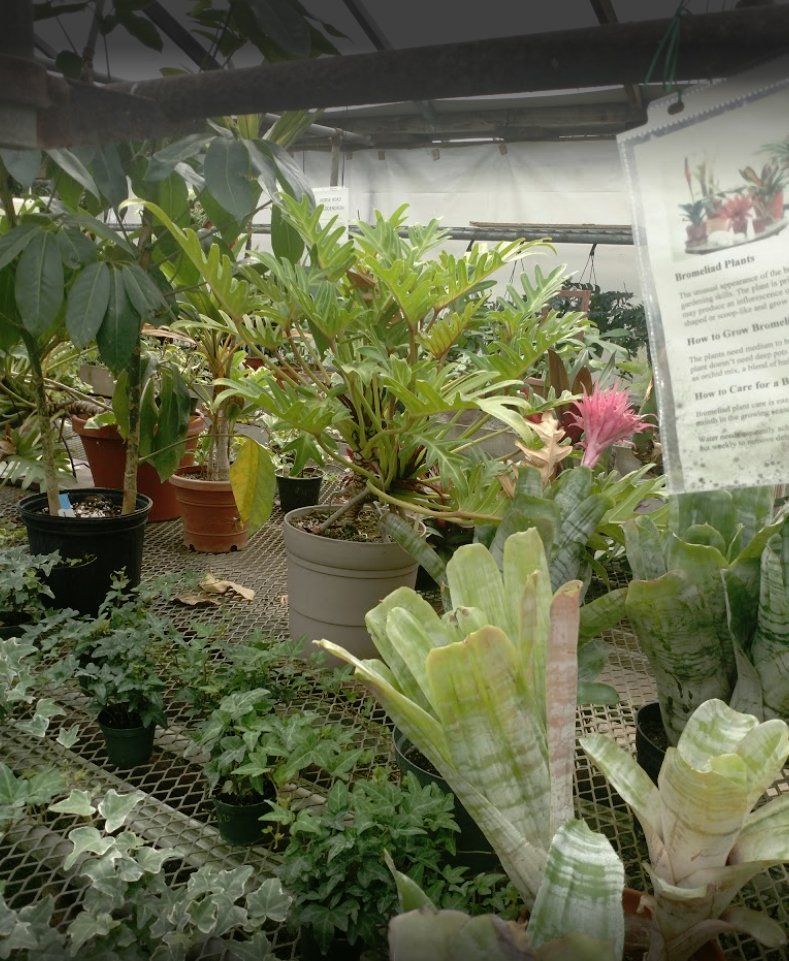 Plant nursery