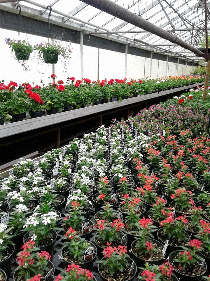 Flower nursery