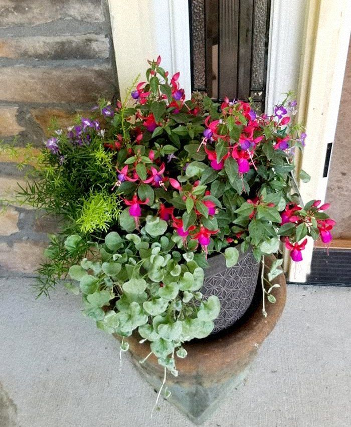 Colorful floral basket