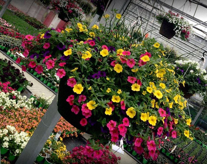 Colorful floral basket